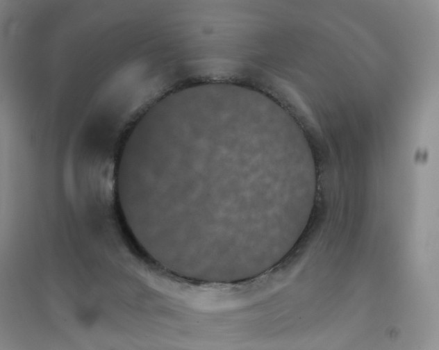 X0000094440024200711151415