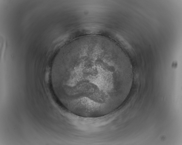X0000094440026200711151415
