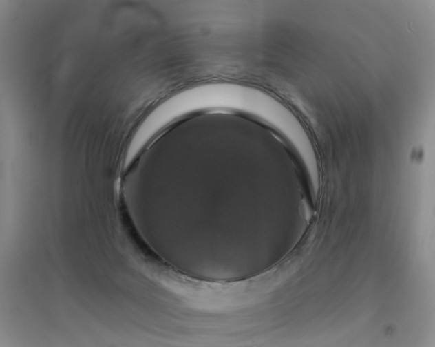 X0000094440027200711151415