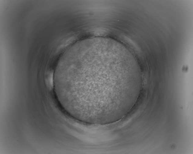 X0000094440028200711151415