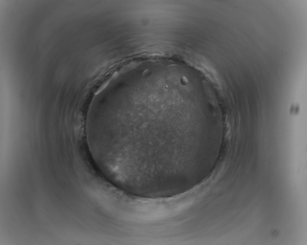 X0000094440029200711151415