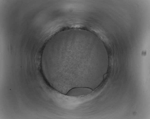 X0000094440030200711151415
