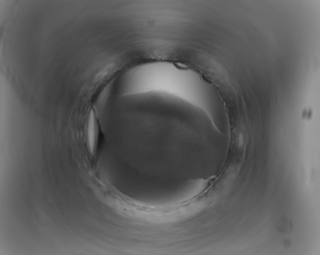 X0000094440031200711151415