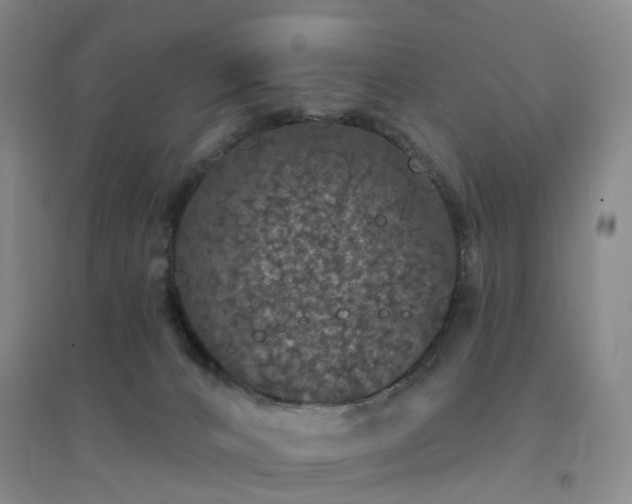 X0000094440032200711151415