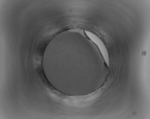 X0000094440033200711151415