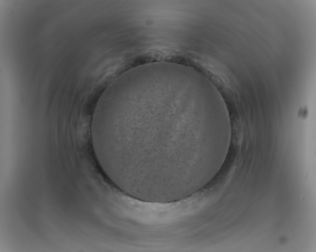 X0000094440034200711151415