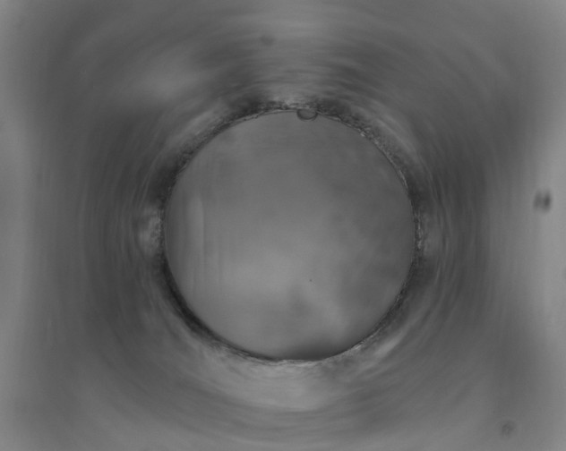 X0000094440036200711151414