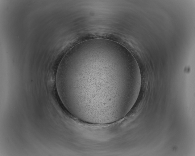 X0000094440040200711151414