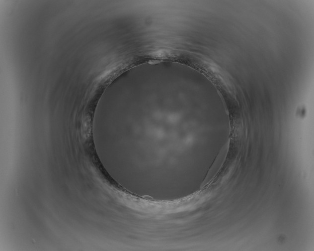 X0000094440043200711151414
