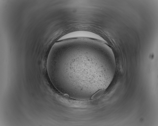 X0000094440044200711151414