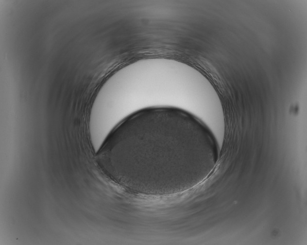 X0000094440045200711151414
