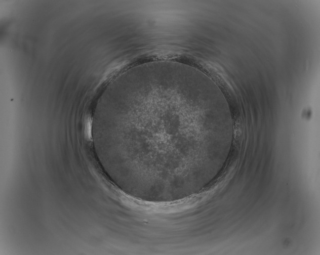 X0000094440046200711151414