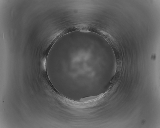 X0000094440047200711151414