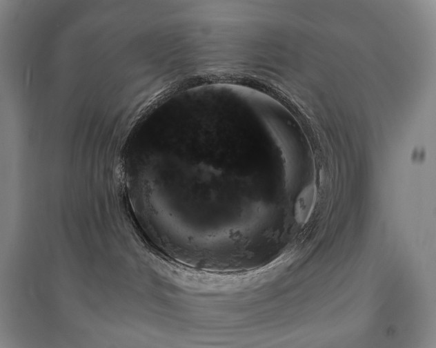 X0000094440048200711151414