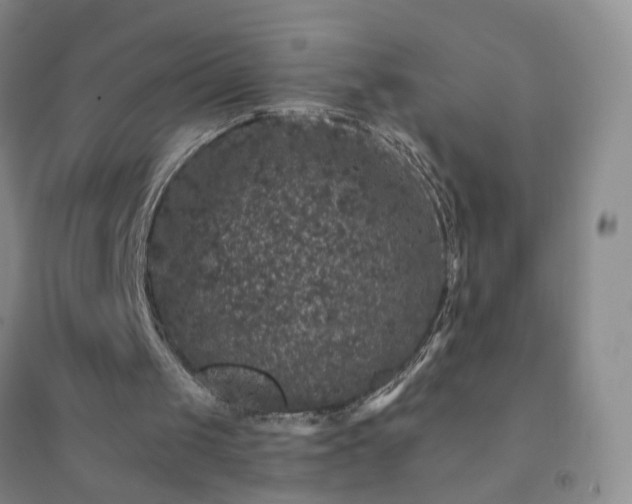 X0000094440049200711151414