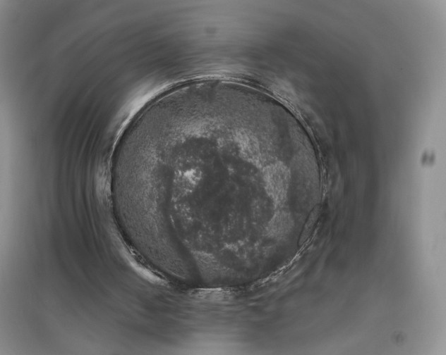 X0000094440050200711151414