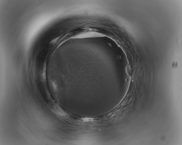 X0000094440052200711151414
