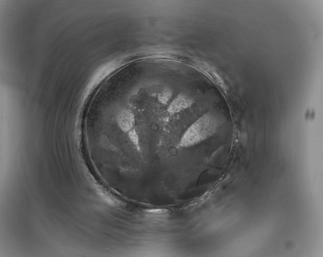 X0000094440053200711151414