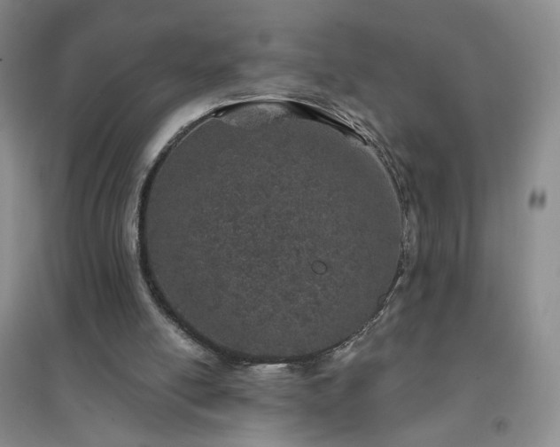 X0000094440054200711151414