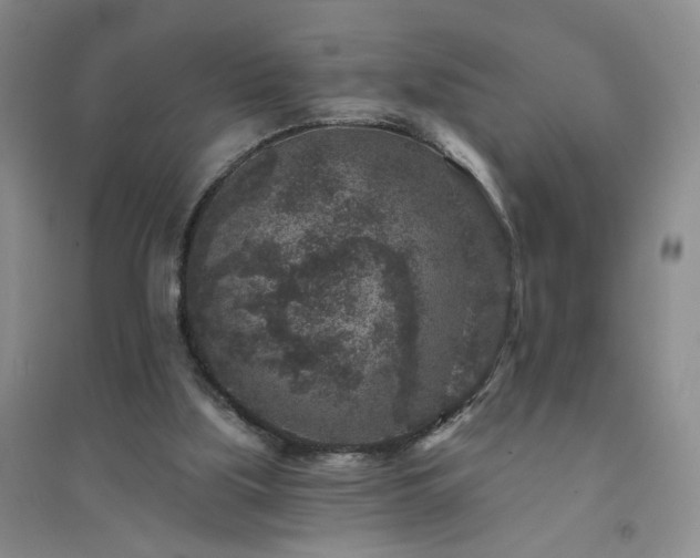 X0000094440059200711151414