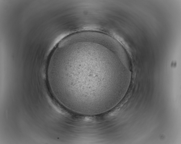 X0000094440060200711151414