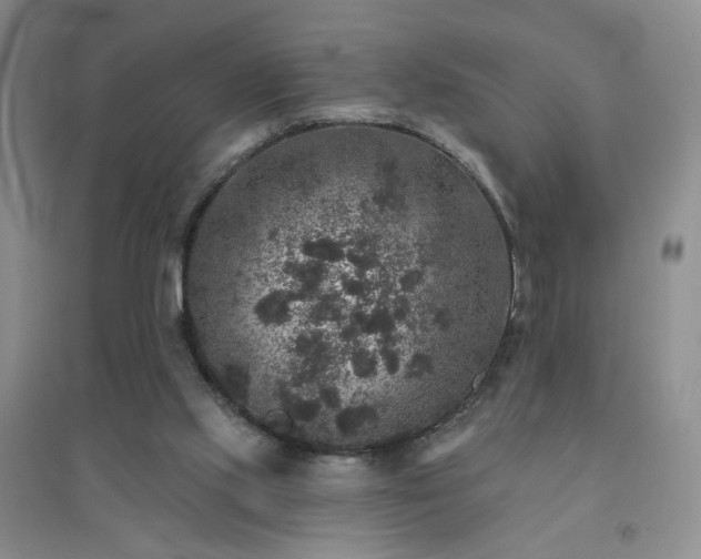 X0000094440061200711151414