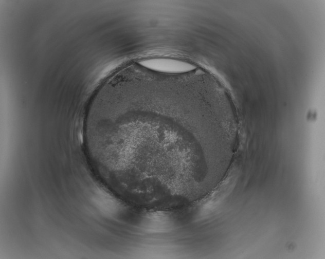 X0000094440062200711151414