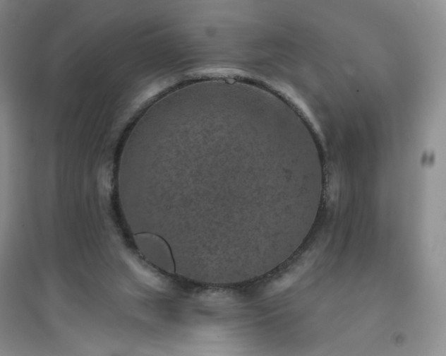 X0000094440063200711151414