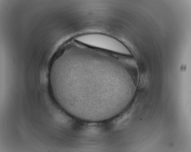 X0000094440064200711151414