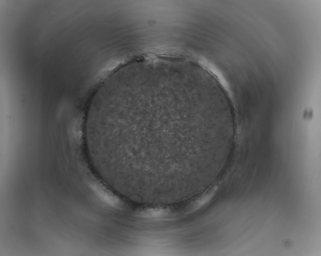 X0000094440065200711151414