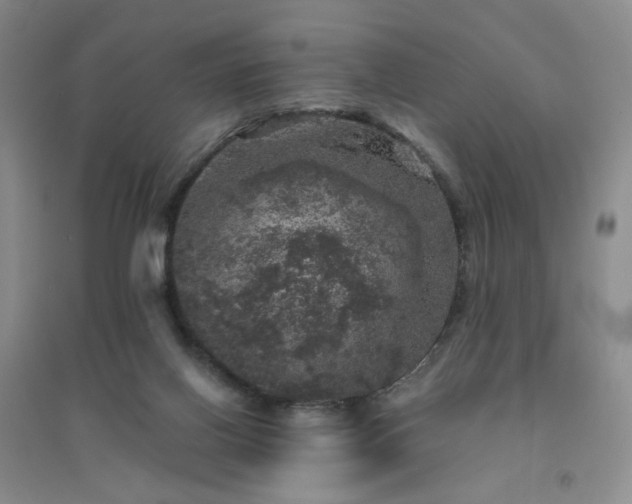 X0000094440070200711151414