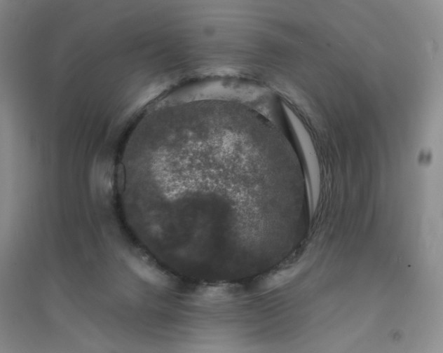 X0000094440072200711151414