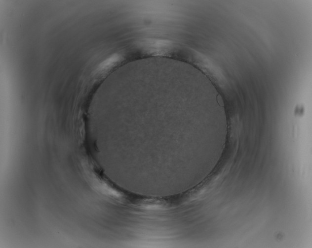 X0000094440073200711151414