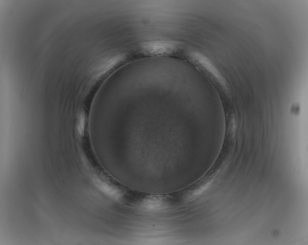 X0000094440076200711151414