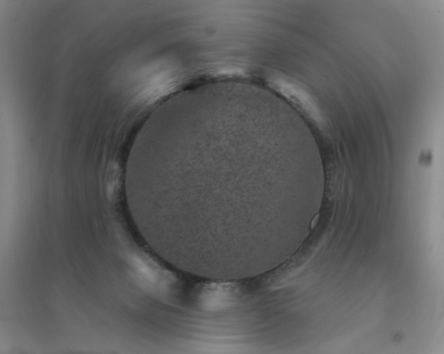 X0000094440077200711151414