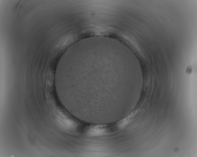 X0000094440078200711151414