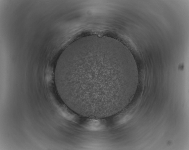 X0000094440083200711151414