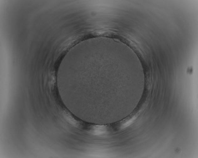 X0000094440085200711151414