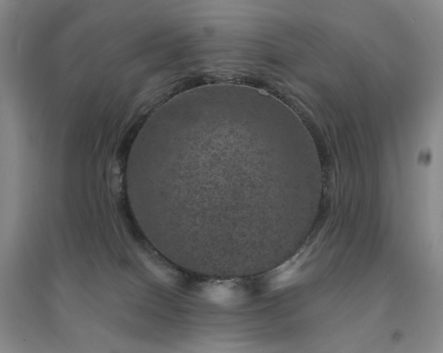 X0000094440086200711151414