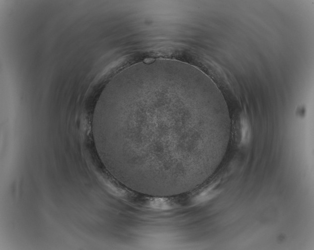 X0000094440091200711151414