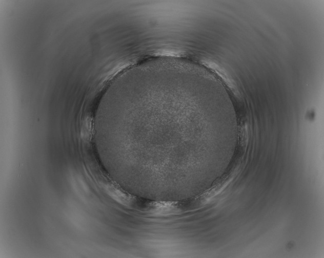 X0000094440093200711151414