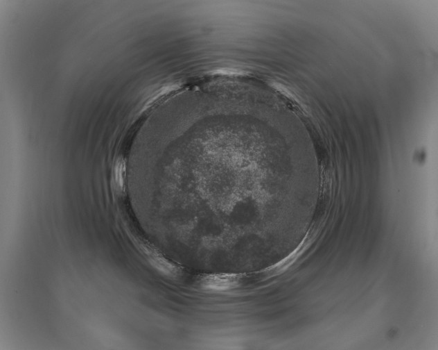 X0000094440094200711151414