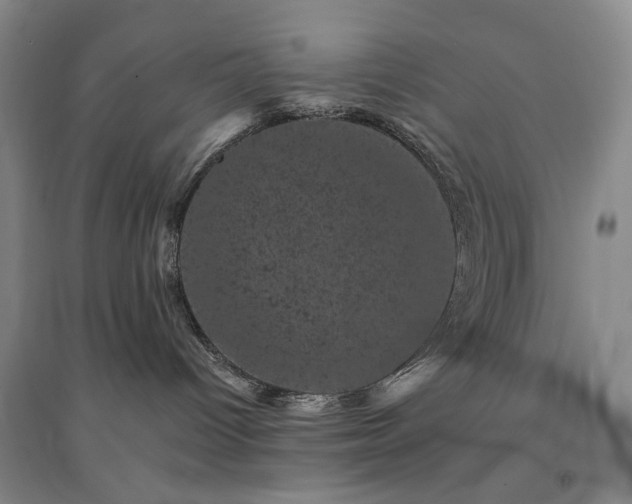 X0000094440096200711151414