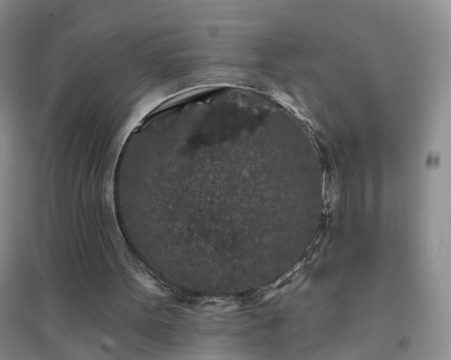 X0000094440099200711151414