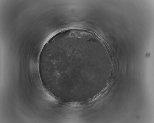 X0000094440100200711151414