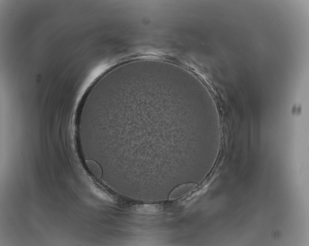 X0000094440102200711151414