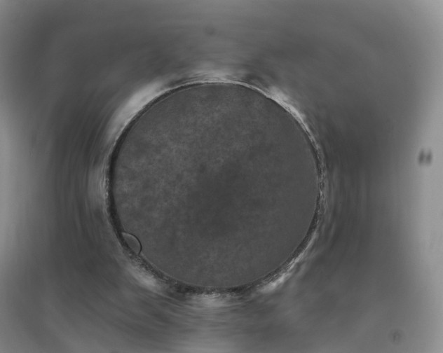 X0000094440103200711151414