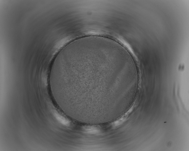 X0000094440106200711151414