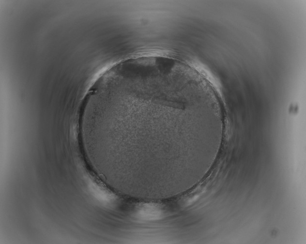 X0000094440107200711151413