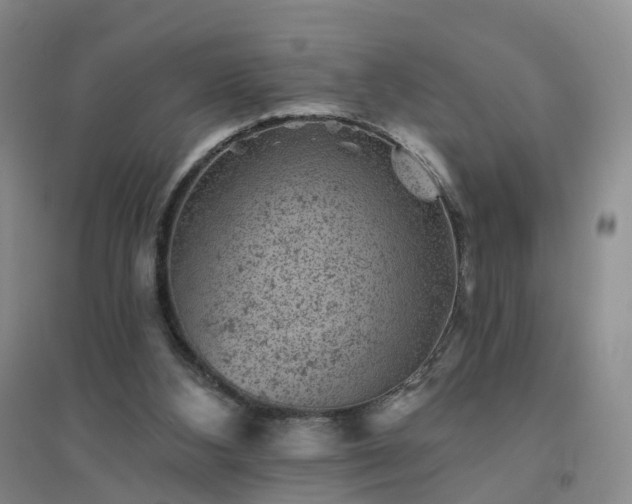 X0000094440108200711151413